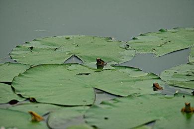 索尼第一方工作室正开发一个3D动作新作